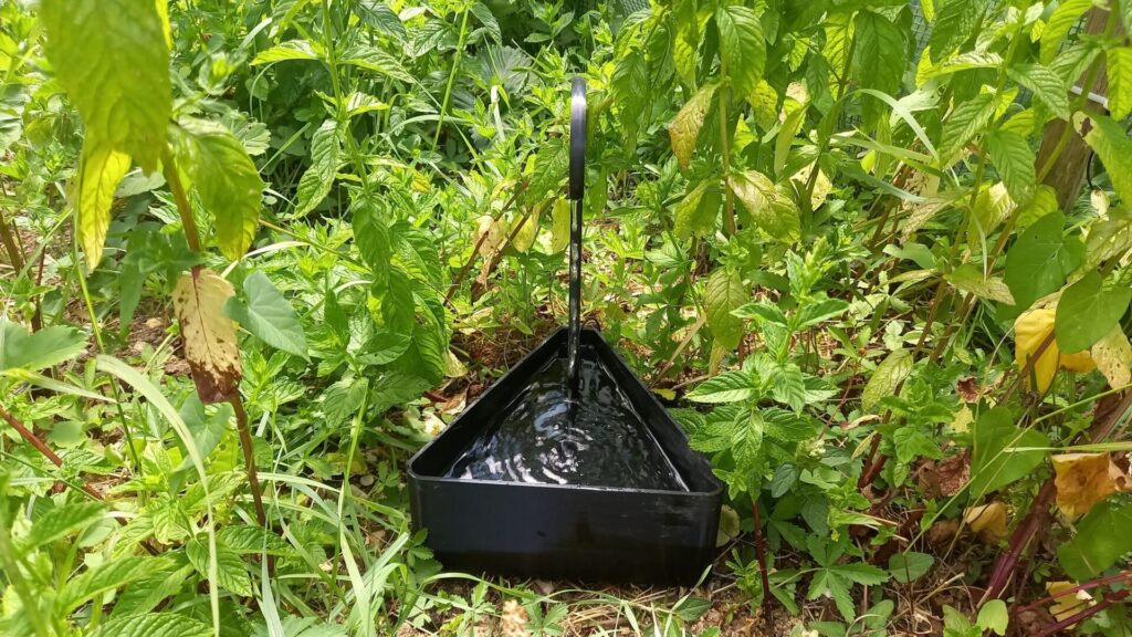 Un bac noir triangulaire avec un tube en sortant et déversant un filet d'eau dans le bac. Il y a des plantes autour.